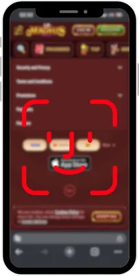 Face ID-verificatie