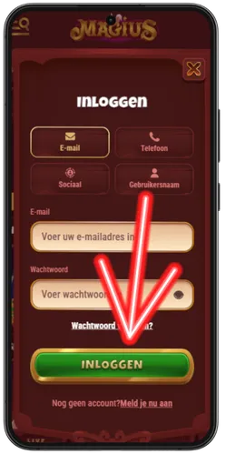 Magius Voltooi het inloggen